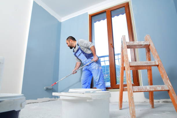 Best Black Mold Removal  in Drain, OR