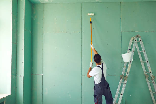 Best Mold Documentation for Insurance Claims  in Drain, OR