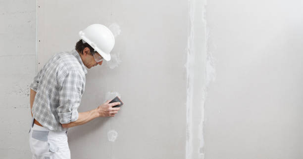 Mold Odor Removal Services in Drain, OR