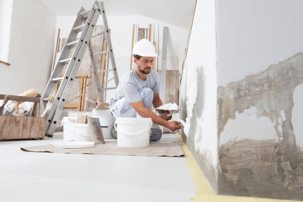 Drain, OR Mold Removal Company