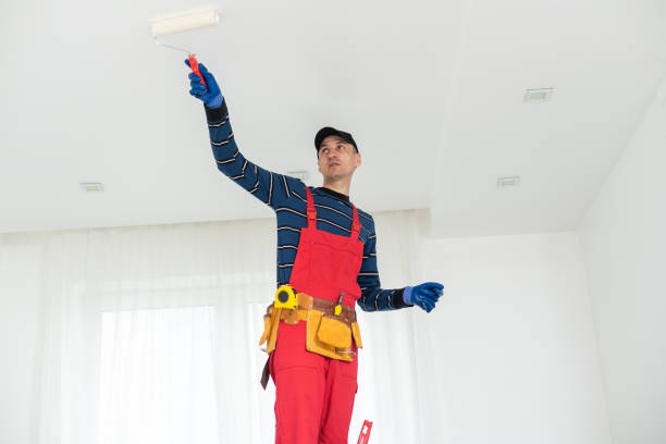 Best Dehumidification Services  in Drain, OR