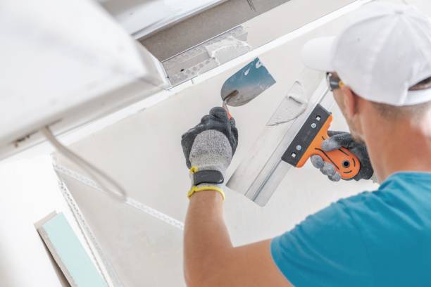 Best Mold Remediation for Healthcare Facilities  in Drain, OR